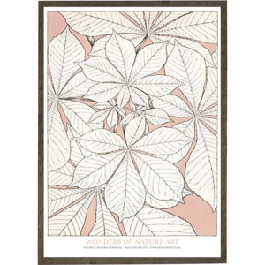 Leaves rose - KUNSTPRINT - VÆLG STØRRELSE