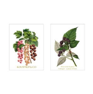 MINICARTES D'ÉTÉ – Groseilles